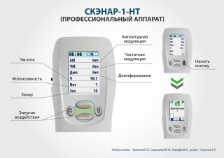 СКЭНАР-1-НТ (исполнение 01)  в Усть-илимске купить Медицинский интернет магазин - denaskardio.ru 